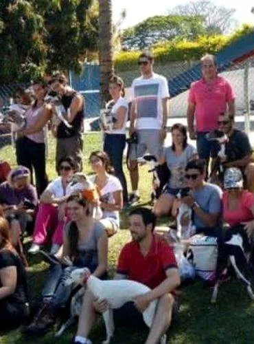 Recanto Caopestre Hotel para Caes em Campinas