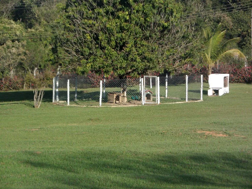 Recanto Cãopestre Hotel para Cães de pequeno, médio e grande porte