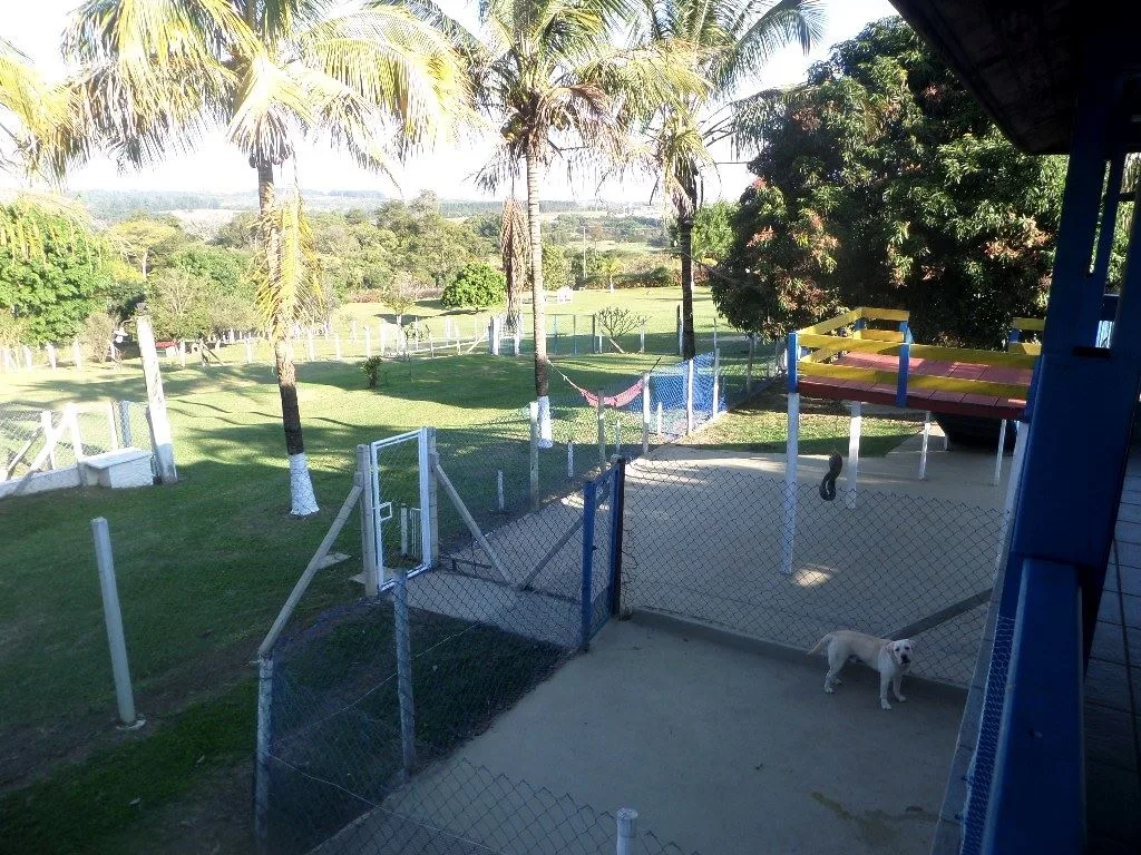 Recanto Cãopestre Hotel para Cães de pequeno, médio e grande porte