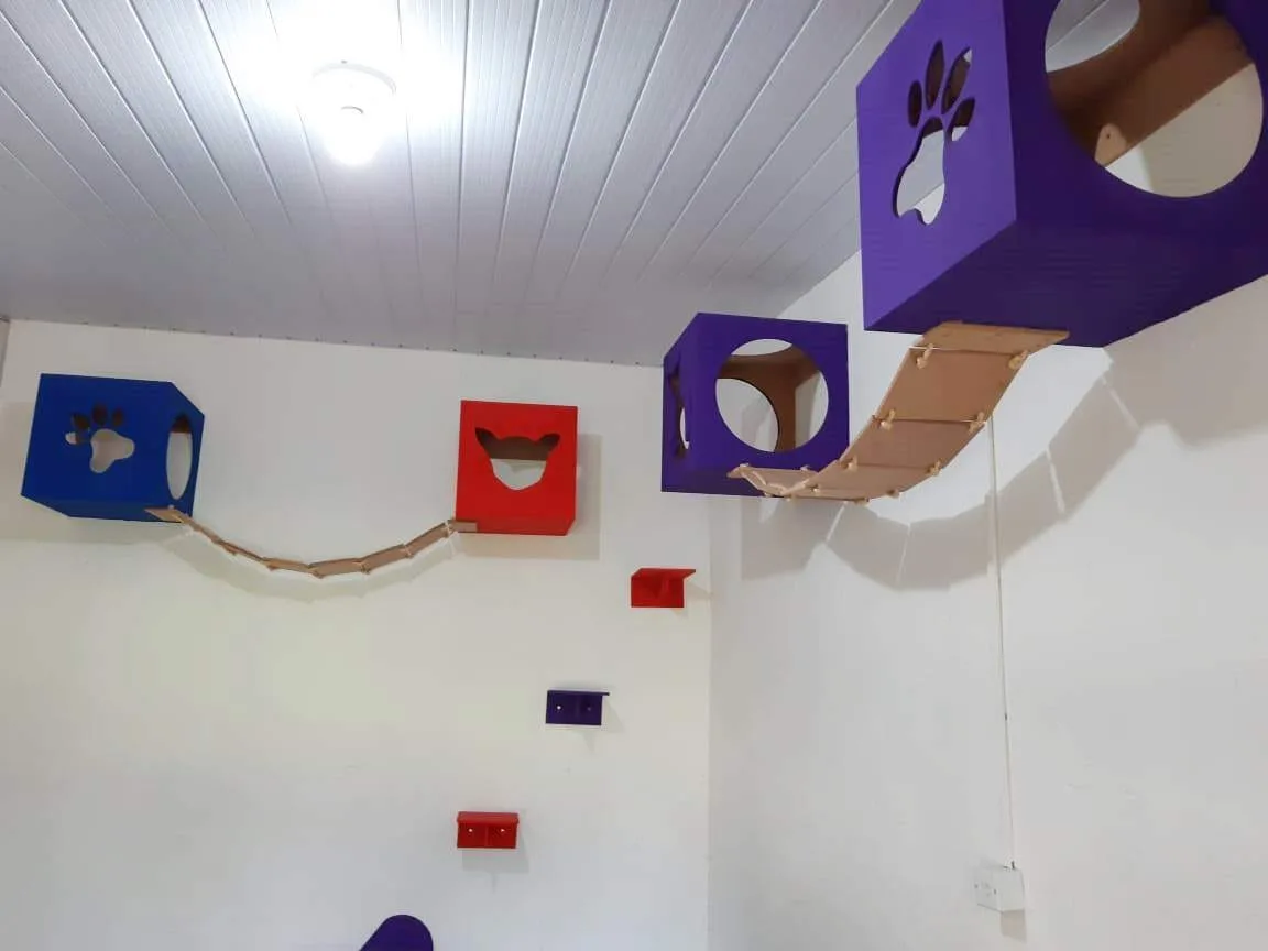 Hotel para gatos Recanto Cãopestre