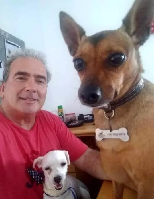 Asilo para cachorros e lar permanente para cachorros