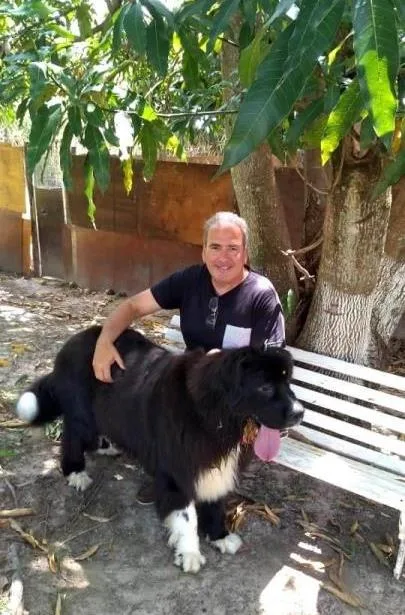 Hotel e lar temporário para cachorros