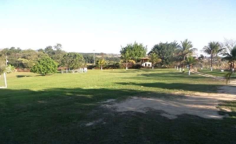 Hotel resort para cachorro com gramado e playground em Campinas Recanto Cãopestre